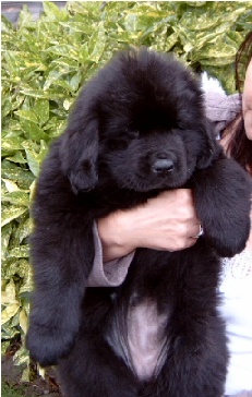 Freya August 12, 2006