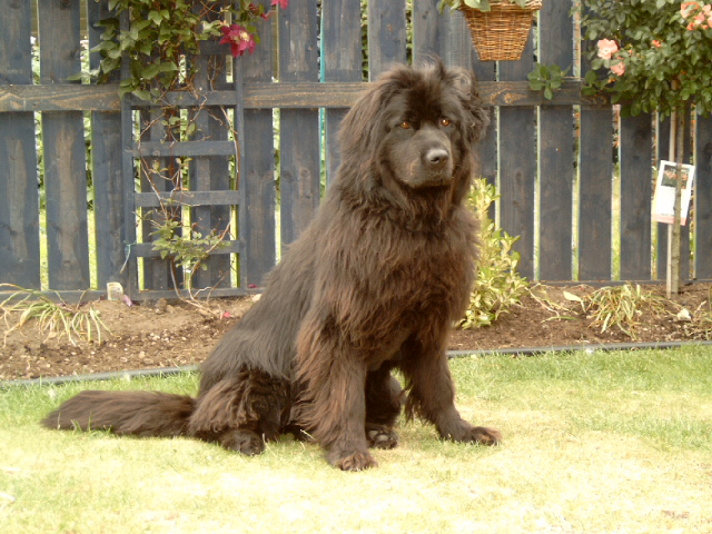 Summer July 08, 2006